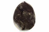 Septarian Dragon Egg Geode - Sparkly Black Crystals #329494-1